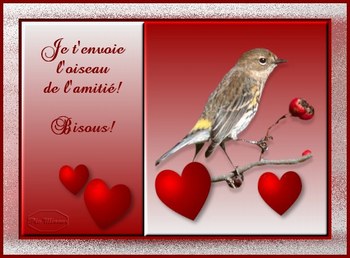 oOo{Amitié}oOo