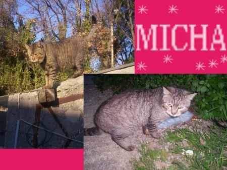 {Petit Micha}