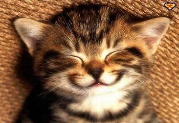 ***{Le sourire}****